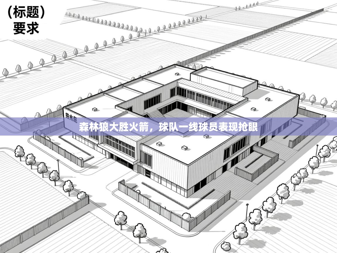 爱游戏娱乐网址-森林狼大胜火箭,球队一线球员表现抢眼 第1张
