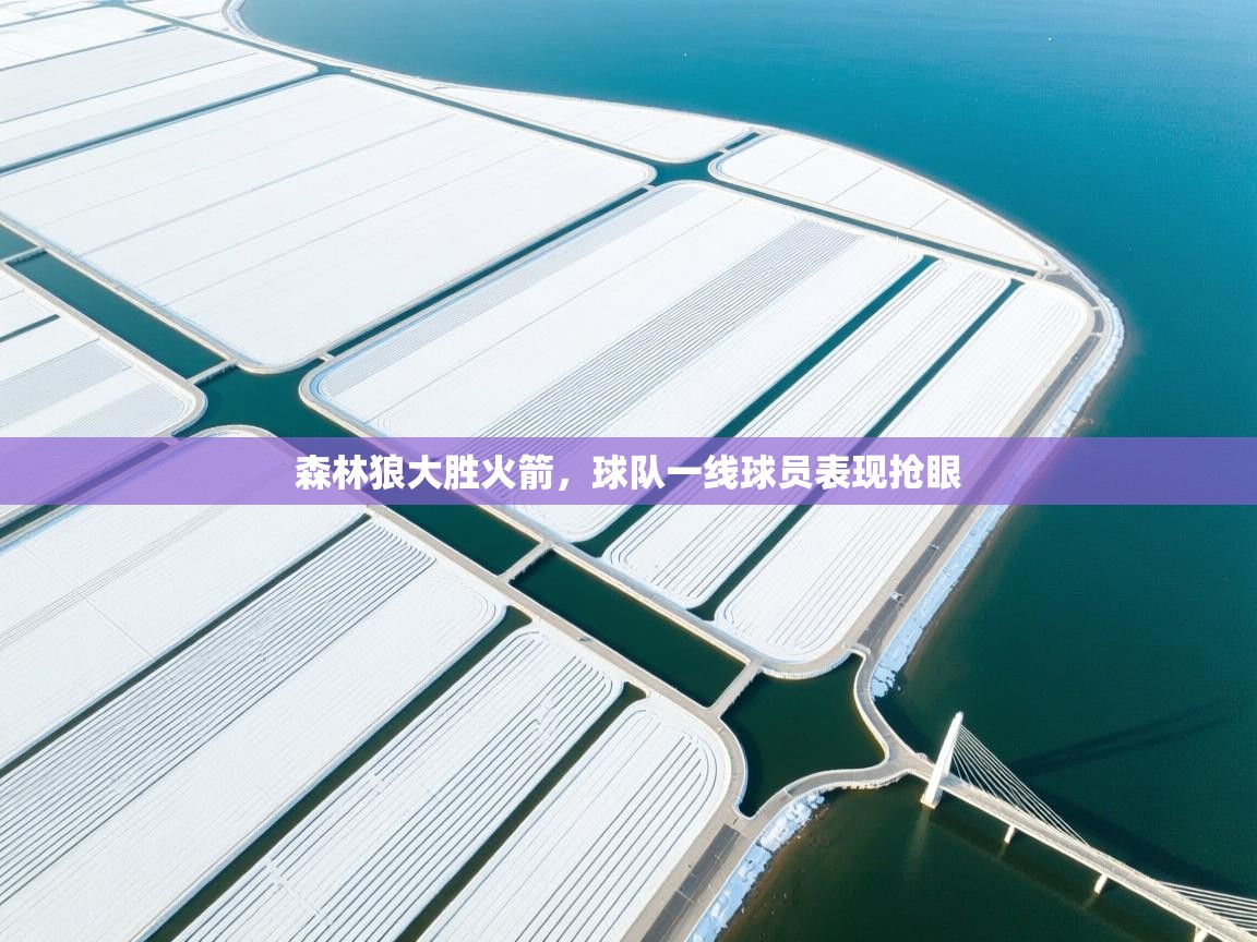 爱游戏娱乐网址-森林狼大胜火箭,球队一线球员表现抢眼 第3张