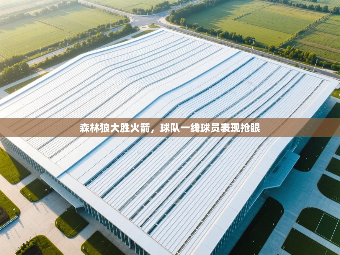 爱游戏娱乐网址-森林狼大胜火箭,球队一线球员表现抢眼 第2张