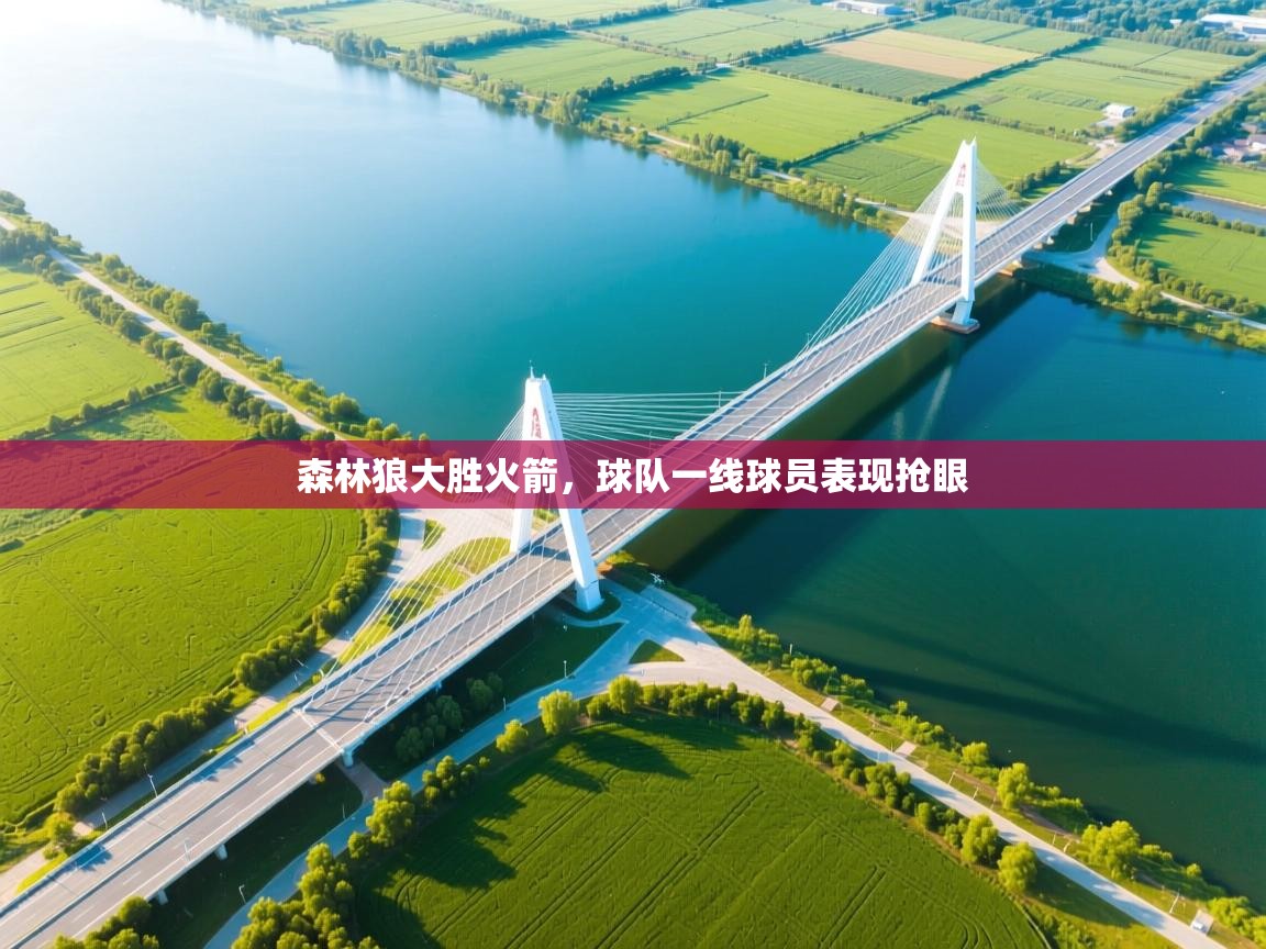 爱游戏娱乐网址-森林狼大胜火箭,球队一线球员表现抢眼 第4张