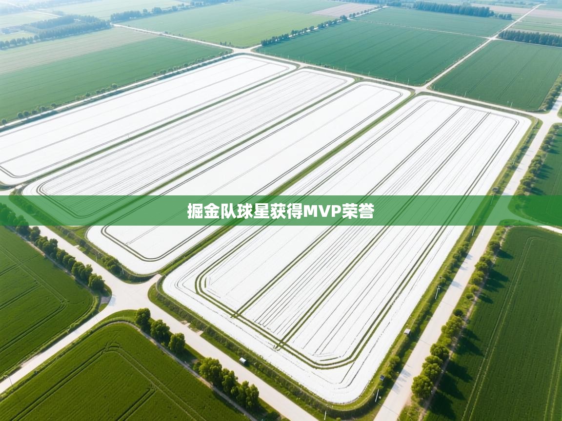 爱游戏体育娱乐罗马赞助商-掘金队球星获得MVP荣誉 第1张