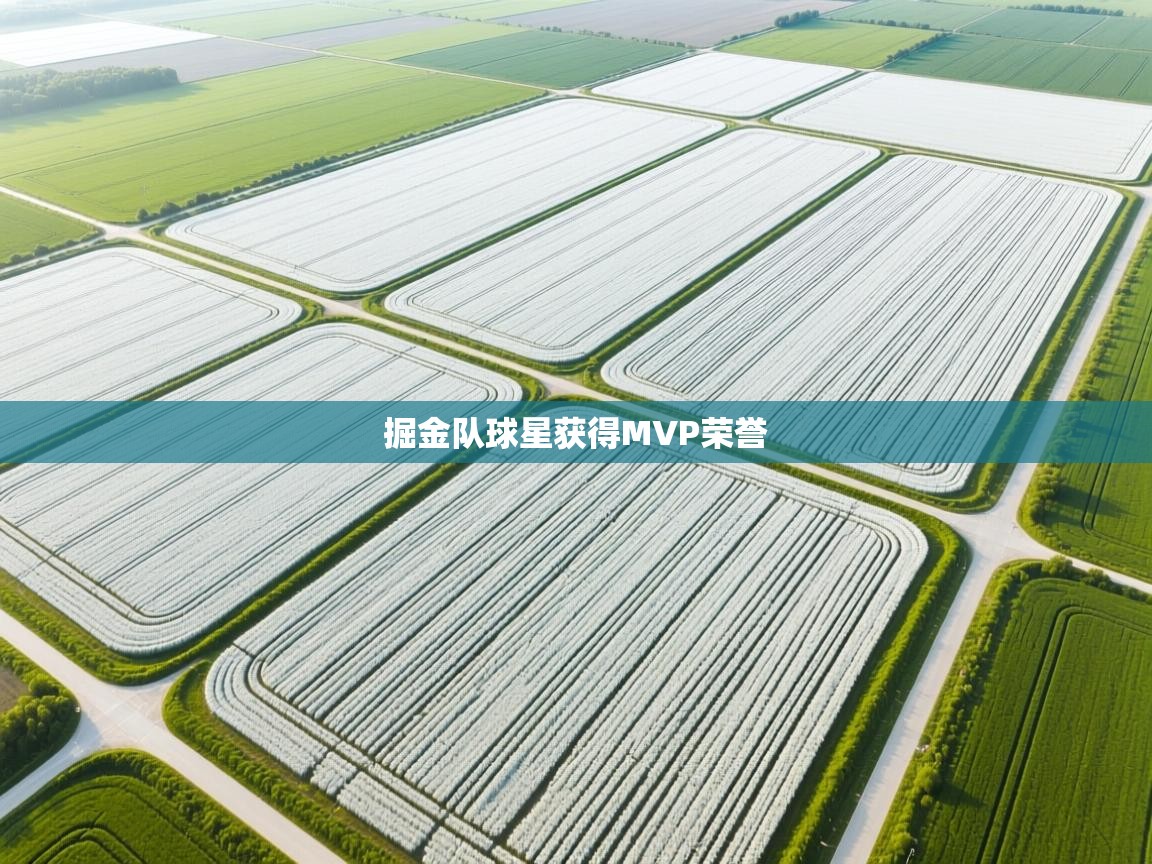 爱游戏体育娱乐罗马赞助商-掘金队球星获得MVP荣誉 第2张