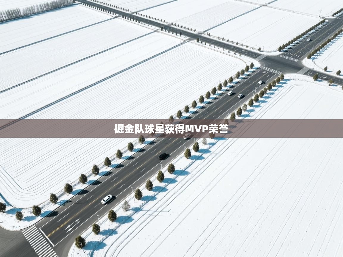 爱游戏体育娱乐罗马赞助商-掘金队球星获得MVP荣誉 第3张