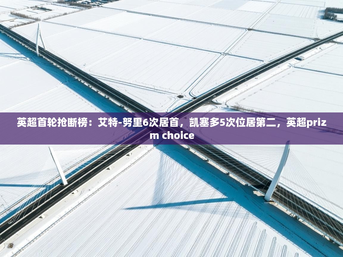 爱游戏体育入口app-英超首轮抢断榜：艾特-努里6次居首，凯塞多5次位居第二，英超prizm choice  第2张