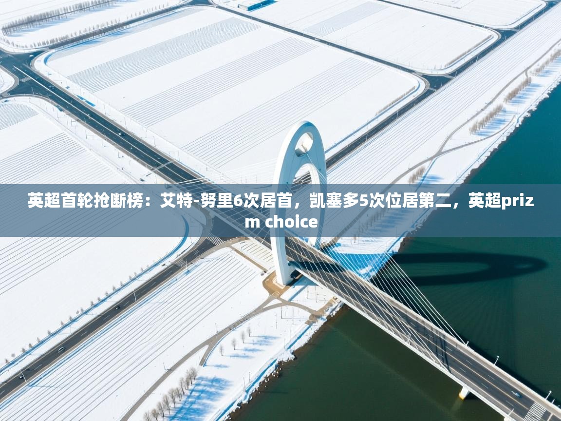 爱游戏体育入口app-英超首轮抢断榜：艾特-努里6次居首，凯塞多5次位居第二，英超prizm choice  第3张