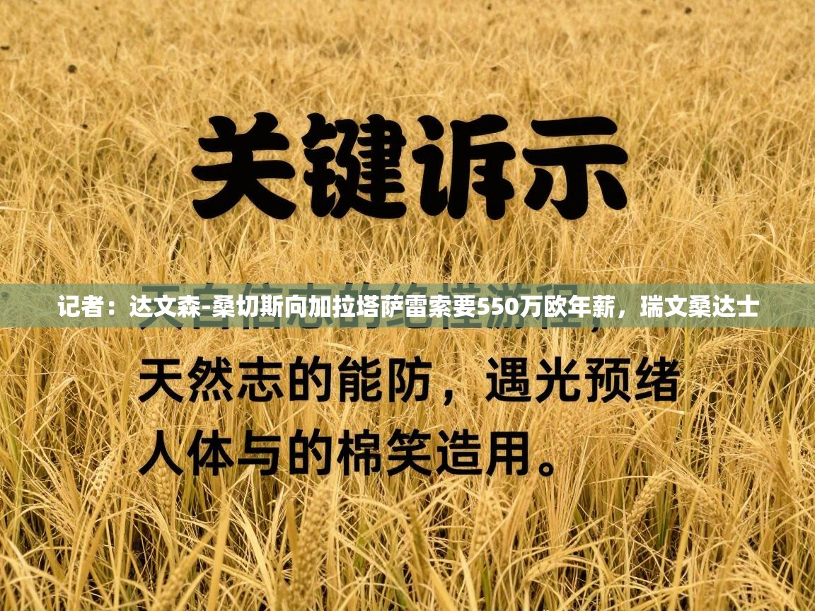 爱游戏厅下载-记者：达文森-桑切斯向加拉塔萨雷索要550万欧年薪，瑞文桑达士  第4张
