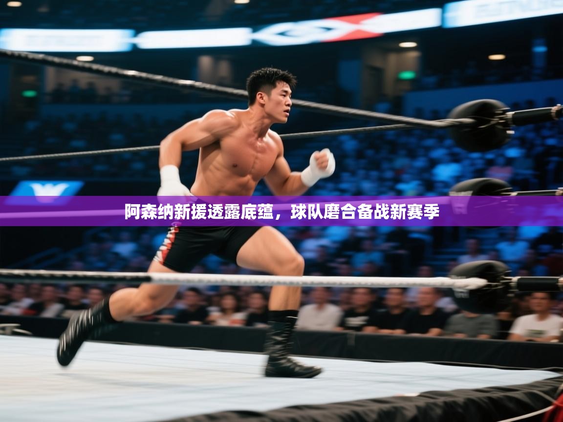 爱游戏娱乐赞助罗马02-阿森纳新援透露底蕴，球队磨合备战新赛季  第4张