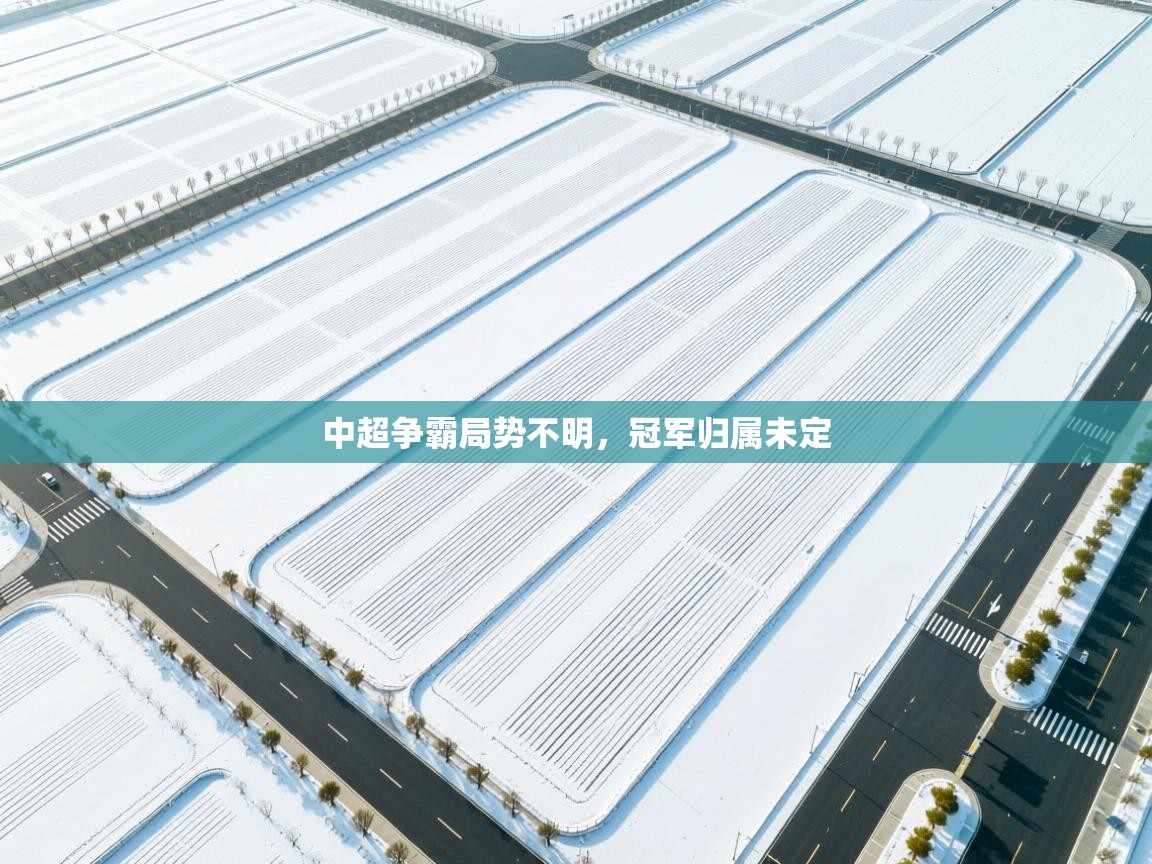 爱游戏体育娱乐马竞赞助商-中超争霸局势不明,冠军归属未定 第2张