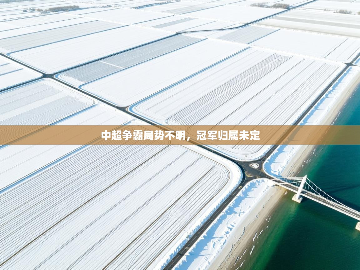 爱游戏体育娱乐马竞赞助商-中超争霸局势不明,冠军归属未定 第4张